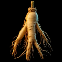 Ginseng root